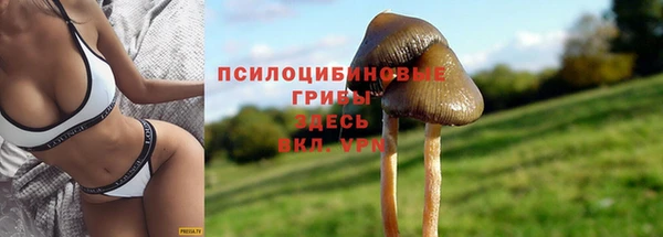 COCAINE Белокуриха