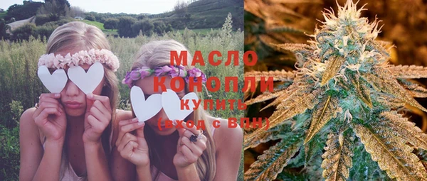 метадон Богданович