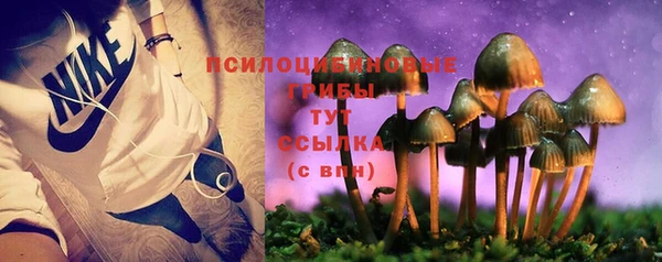COCAINE Белокуриха